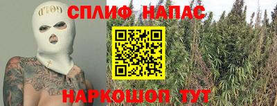a pvp Будённовск