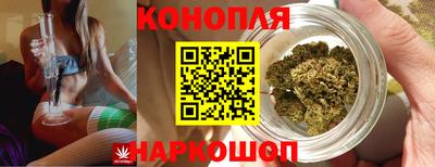 a pvp Будённовск