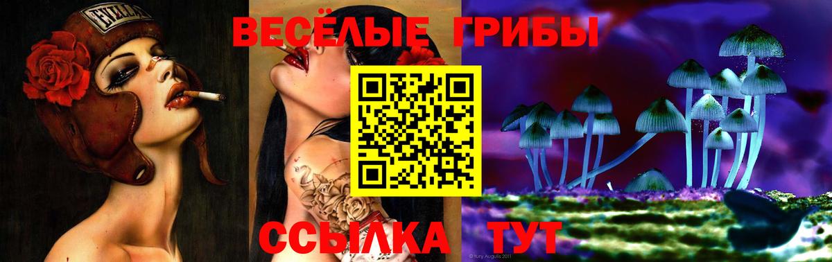 Галлюциногенные грибы Cubensis  Вход с VPN  Хасавюрт 
